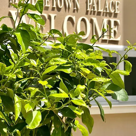 M T P By Bonsai B&B 3*