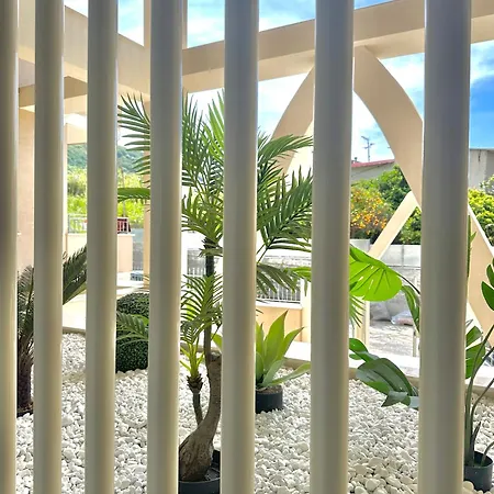 M T P By Bonsai 트로페아