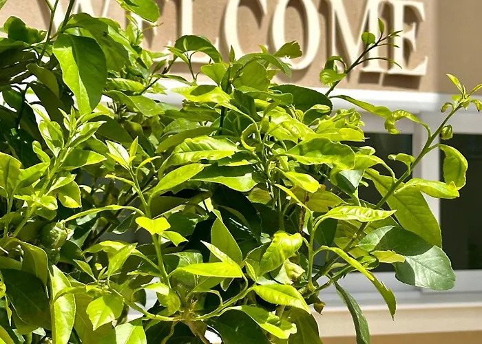 M T P By Bonsai B&B 3*