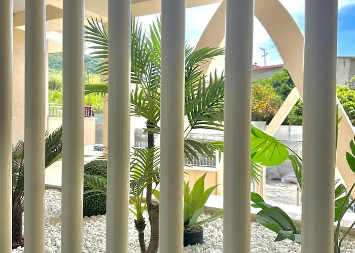 M T P By Bonsai 트로페아